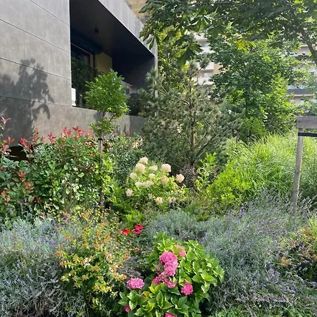 Brasovista - Paj Premium In Urban Plaza Apartman Brassó