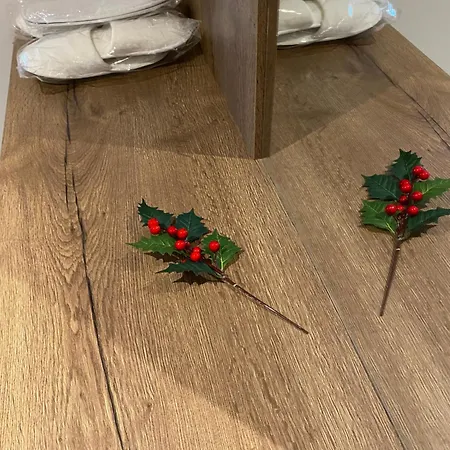 Apartman Brasovista - Paj Premium In Urban Plaza