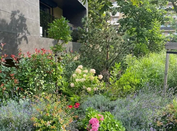 Brasovista - Paj Premium In Urban Plaza Appartamento Braşov