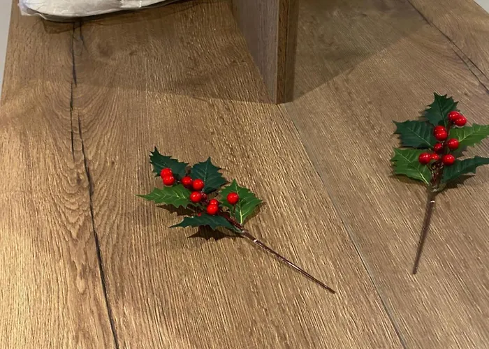 Appartamento Brasovista - Paj Premium In Urban Plaza